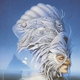 Image for article titled Joan Vinge’s The Snow Queen: The girl-power counterpart to Star Wars